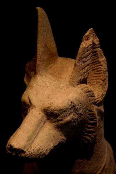 faraohund.jpg