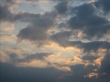 IMG_2635.JPG
