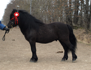 slattens_bethoven_hp09.jpg