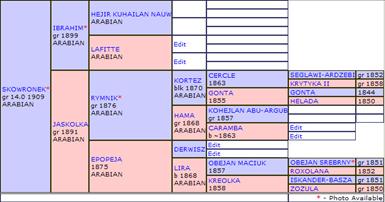 stamtavla