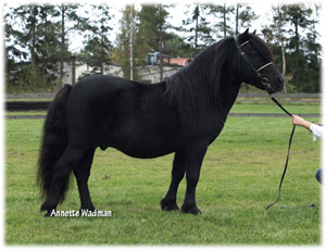 09gmnoss_felix.jpg