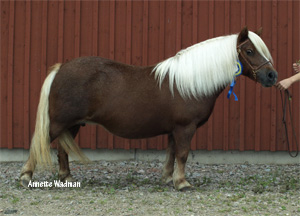 hamras_froken_uddetorp09.jpg