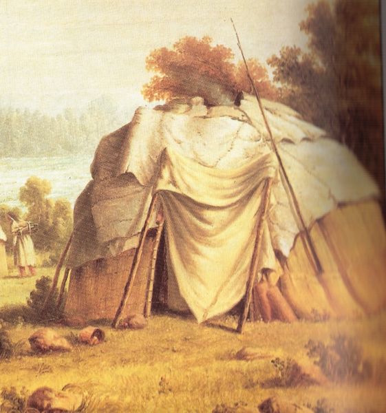 561px-Ojibwa_wigwam.jpg