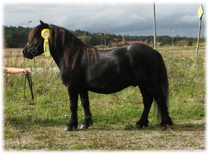 Kilskogens Gentzel HP Köping 09.jpg