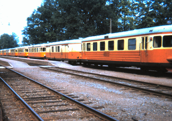 En lång rad gul-orange rälsbussar