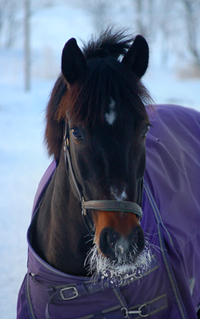 marija0109.jpg