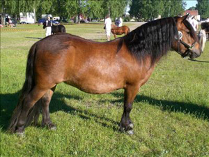 alvasena_afrodite_malmk09.JPG