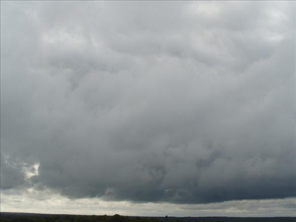 S1054959.JPG