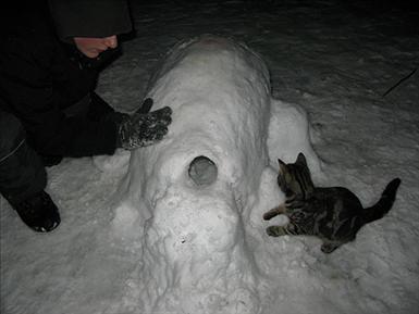 Snölek-II-copy.jpg