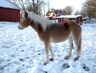 bild6.jpg