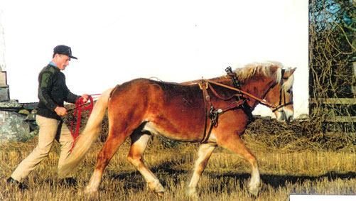 bild3.jpg