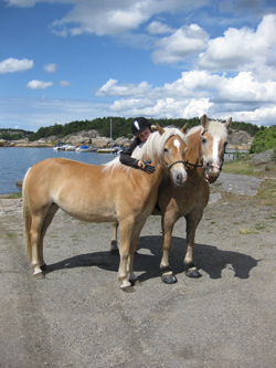 bild2.jpg