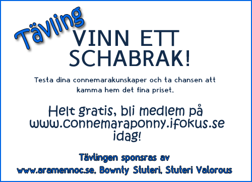 ciff-tavling-reklam2.gif