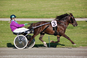 Jagga 090611.jpg