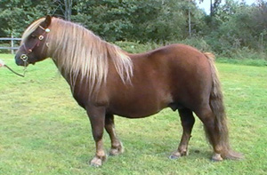 unnric_gm09.jpg