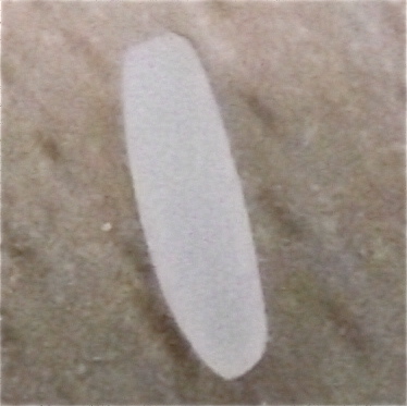 DSCF2083.JPG