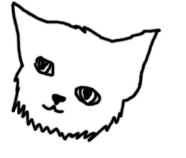 catface.jpg