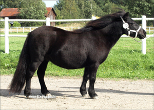 09karlstad_giljans_yadira.jpg