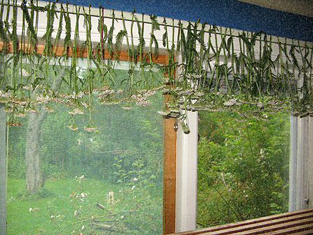Rölleka gardin 002 copy.jpg
