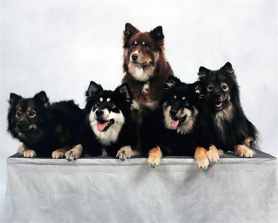 Bild 7