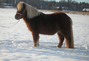 erikslunds_garconne_koping09.jpg