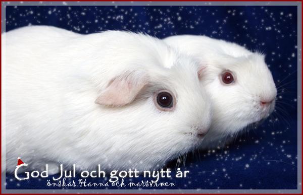 godjul10.jpg