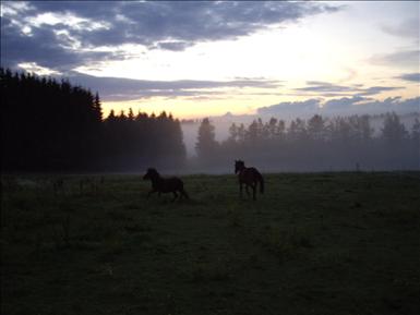 jackiejohn-sommar09.jpg