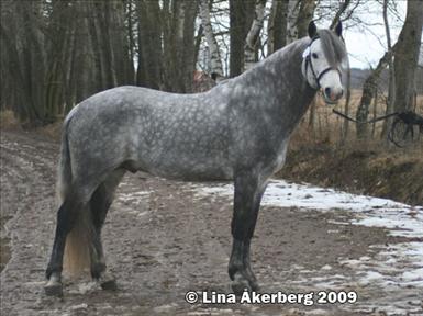 långarnö-cedrick.jpg