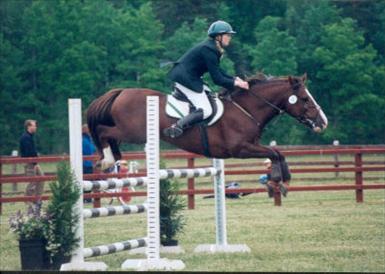 Fredriksbergs Kavat RNF 23-S e. Dennie,New Forest-mästerskapet i hoppning på Valla 2001 som han vann.