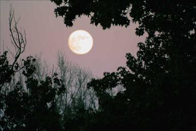 007moonlight.jpg
