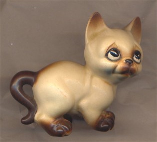 Kattbirma.jpg