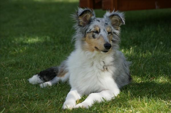 Sommar2010161.jpg