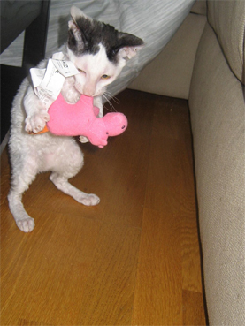 juli09.jpg