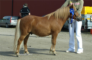 rosangens_wiking_fargelanda09.jpg