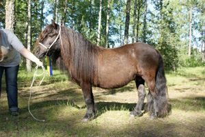 ivette_v_st_dijkzicht_malmk09.jpg