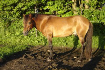 Foto & copyright: ägaren
