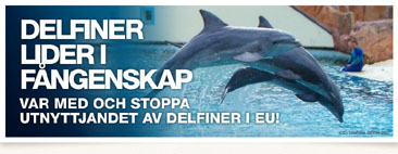 Olyckliga delfiner..