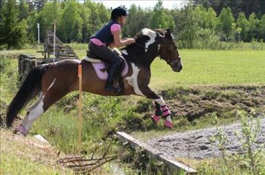 Madeleine Filipiak & Pommaq