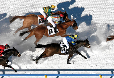 whiteturf3.jpg