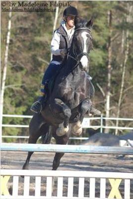 hero hoppar