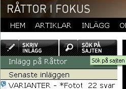 sok1.JPG