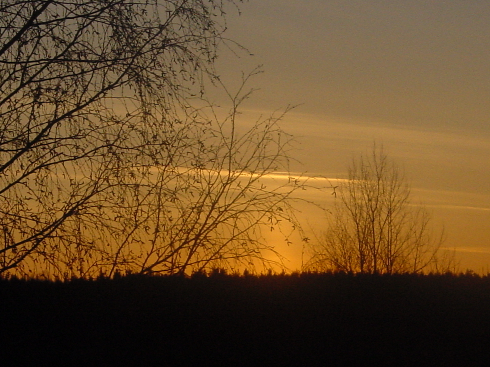 http://www.ifokus.se/ShowUserFile.aspx?BinaryId=efd051d5-7fc6-457a-bbcf-66a5613cdefd