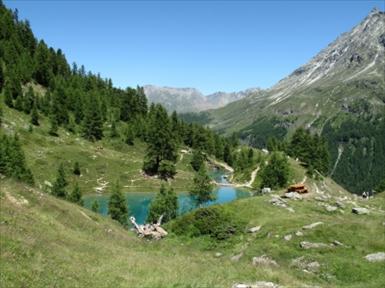 720_Bergesruh_am_Lac_Bleu_2995.jpg