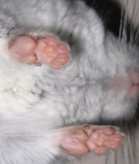 2008-09-14 005.2.JPG