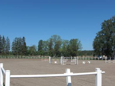 Flisbanan (hopp&körbana)