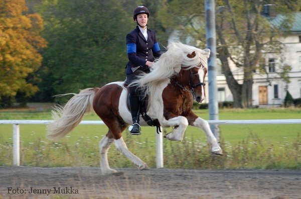 galopp.jpg