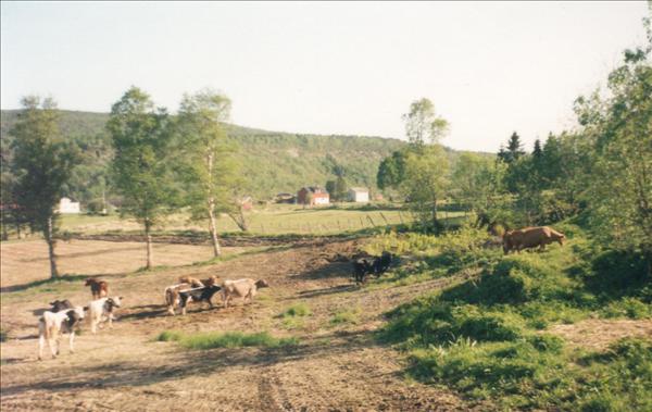 Vårsleppet.jpg