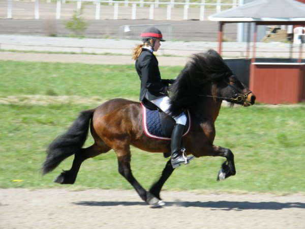 DSCF2067.jpg