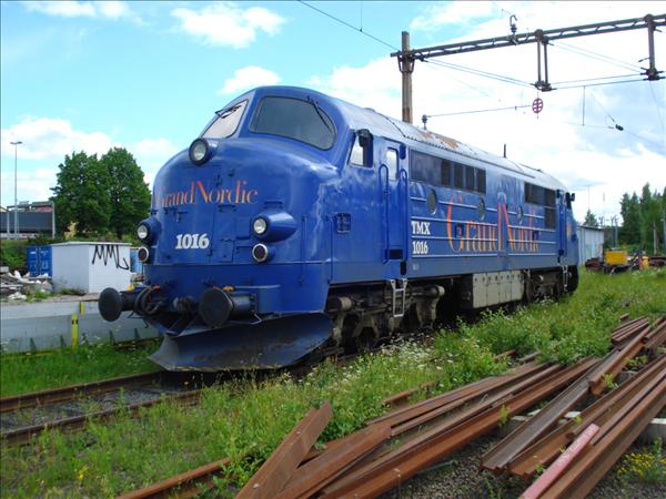 TMX 1016