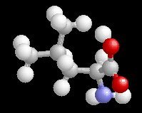 leucin.gif
